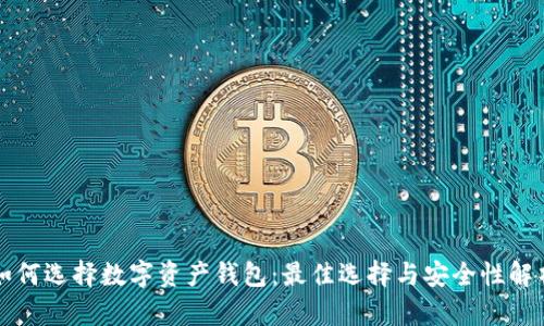 如何选择数字资产钱包:最佳选择与安全性解析
