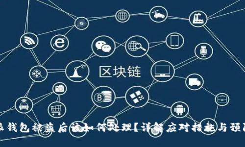 比特派钱包被盗后该如何处理?详解应对措施与预防技巧