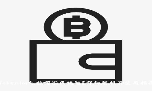 Tokenim支持哪些区块链?详细解析及使用指南