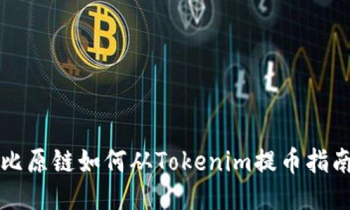 比原链如何从Tokenim提币指南