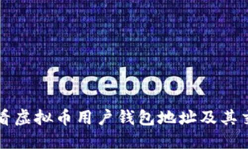 如何查看虚拟币用户钱包地址及其交易记录