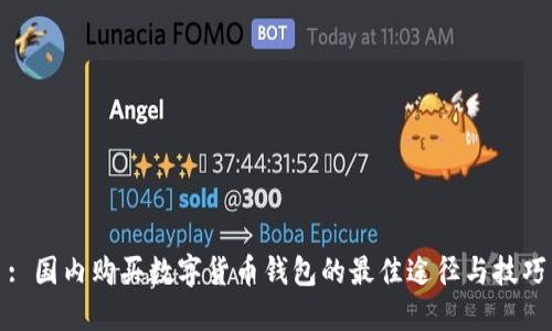 : 国内购买数字货币钱包的最佳途径与技巧