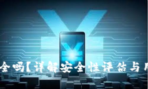 Tokenim安全吗?详解安全性评估与用户保护措施