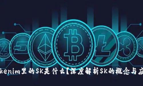 Tokenim里的SK是什么?深度解析SK的概念与应用