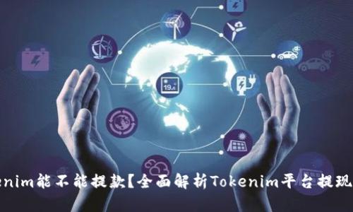 Tokenim能不能提款?全面解析Tokenim平台提现机制
