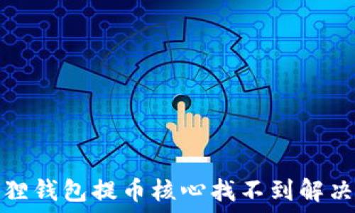 小狐狸钱包提币核心找不到解决方案