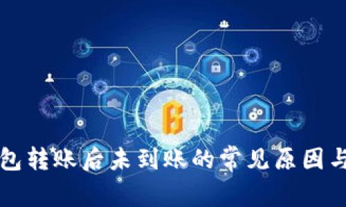 虚拟币钱包转账后未到账的常见原因与解决方案