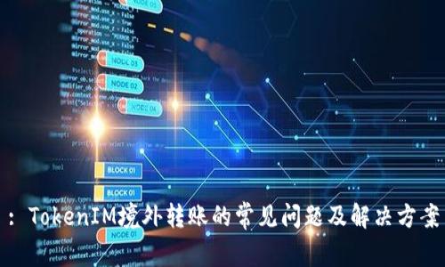: TokenIM境外转账的常见问题及解决方案