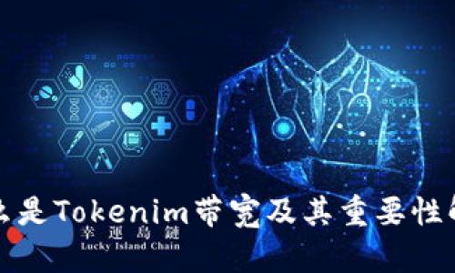 什么是Tokenim带宽及其重要性解析