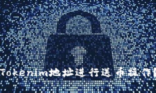 如何安全地通过Tokenim地址进行送币操作?详解与注意事项