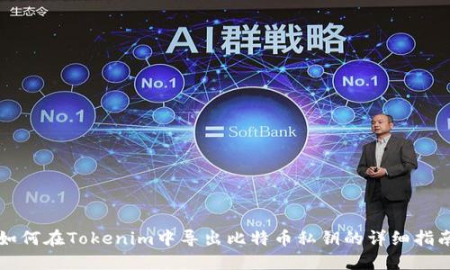 如何在Tokenim中导出比特币私钥的详细指南