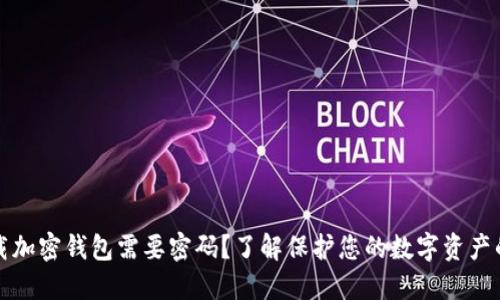 为何下载加密钱包需要密码?了解保护您的数字资产的必要性