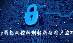 CGPay钱包风控机制解析及用