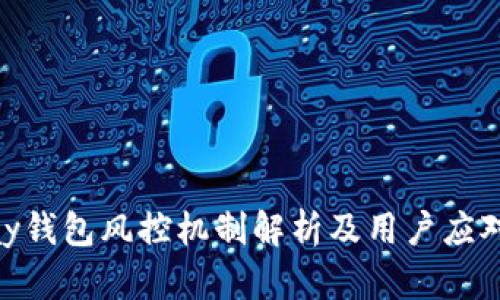CGPay钱包风控机制解析及用户应对策略