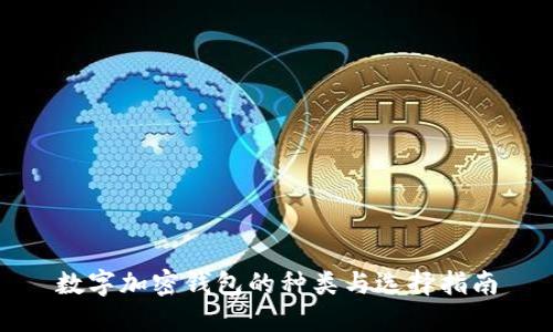 数字加密钱包的种类与选择指南