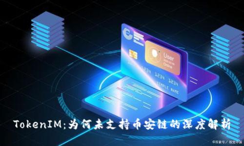 TokenIM:为何未支持币安链的深度解析