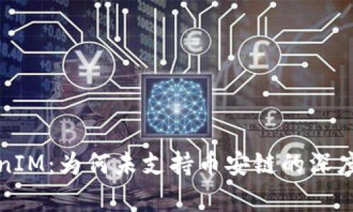 TokenIM:为何未支持币安链的深度解析