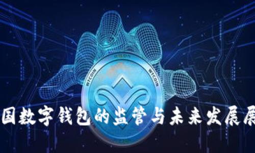 美国数字钱包的监管与未来发展展望
