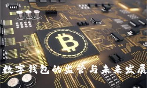 美国数字钱包的监管与未来发展展望
