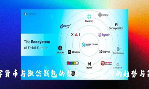 数字货币与微信钱包的结合:未来支付的趋势与策略