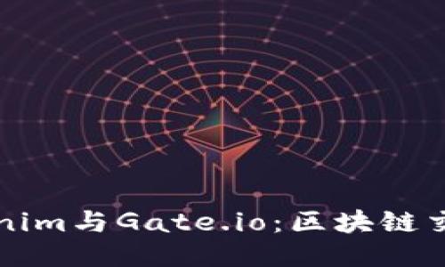 深入探讨Tokenim与Gate.io:区块链交易平台的未来