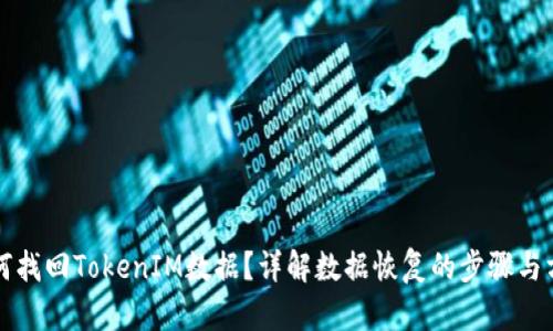 如何找回TokenIM数据?详解数据恢复的步骤与方法