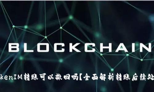 TokenIM转账可以撤回吗?全面解析转账后续处理