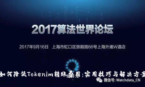 如何降低Tokenim转账费用:实用技巧与解决方案