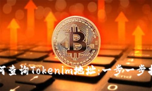 如何查询Tokenim地址:一步一步指南