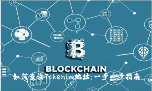 如何查询Tokenim地址:一步一步指南