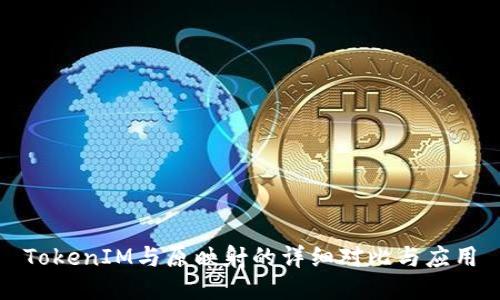 TokenIM与原映射的详细对比与应用