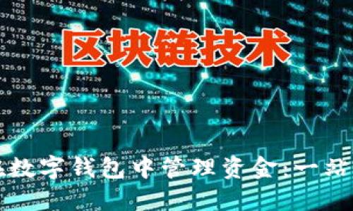 如何在数字钱包中管理资金:一站式指南