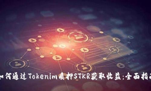 如何通过Tokenim质押STKR获取收益:全面指南
