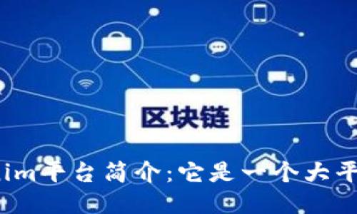 Tokenim平台简介:它是一个大平台吗?