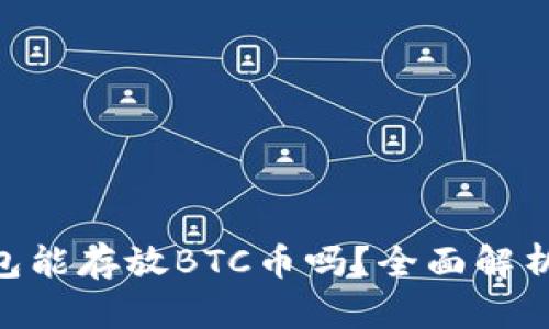 Tokenim钱包能存放BTC币吗?全面解析及使用指南