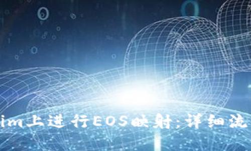 如何在Tokenim上进行EOS映射:详细流程与操作指南