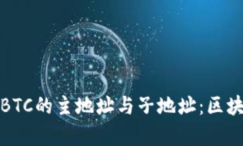 深入解析TokenImBTC的主地址与子地址:区块链资产管理新趋势