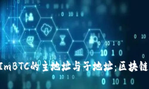 深入解析TokenImBTC的主地址与子地址:区块链资产管理新趋势