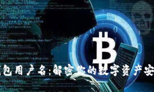 区块链钱包用户名:解密你的数字资产安全与隐私