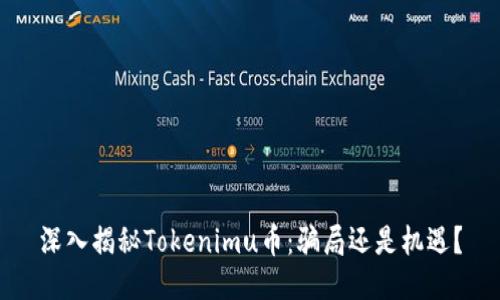 深入揭秘Tokenimu币:骗局还是机遇?
