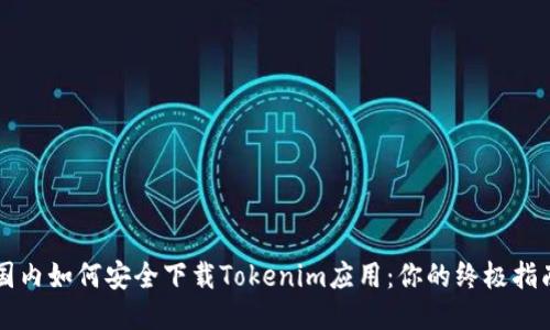 国内如何安全下载Tokenim应用:你的终极指南
