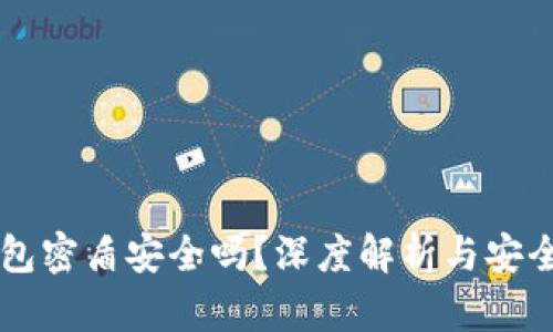 虚拟币钱包密盾安全吗?深度解析与安全防护指南