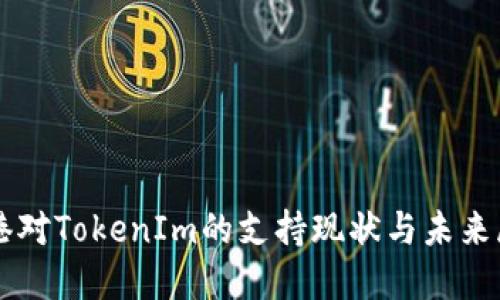 香港对TokenIm的支持现状与未来展望