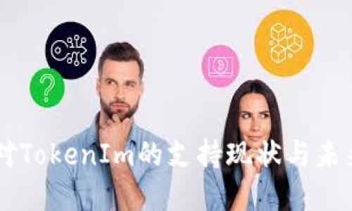香港对TokenIm的支持现状与未来展望