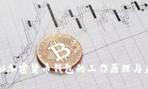 深入揭秘加密货币钱包的工作原理与未来趋势