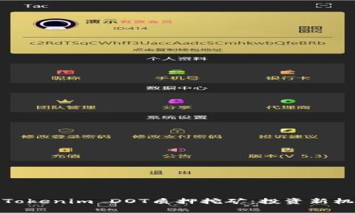 深入解析Tokenim DOT质押挖矿:投资新机遇与风险