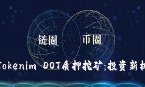 深入解析Tokenim DOT质押挖矿:投资新机遇与风险