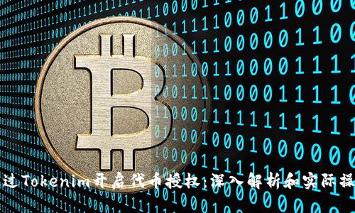 如何通过Tokenim开启代币授权：深入解析和实际操作指南