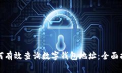 如何有效查询数字钱包地
