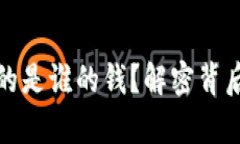虚拟币销毁亏的是谁的钱